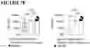 Fig. 41 - COMBINATIONS OF MULTIPLE CHIMERIC ANTIGEN RECEPTORS FOR IMMUNOTHERAPY