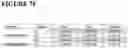 Fig. 42 - COMBINATIONS OF MULTIPLE CHIMERIC ANTIGEN RECEPTORS FOR IMMUNOTHERAPY