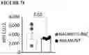 Fig. 45 - COMBINATIONS OF MULTIPLE CHIMERIC ANTIGEN RECEPTORS FOR IMMUNOTHERAPY