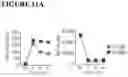 Fig. 60 - COMBINATIONS OF MULTIPLE CHIMERIC ANTIGEN RECEPTORS FOR IMMUNOTHERAPY