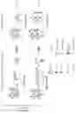 Fig. 73 - COMBINATIONS OF MULTIPLE CHIMERIC ANTIGEN RECEPTORS FOR IMMUNOTHERAPY