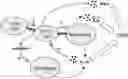 Fig. 01 - CAR-T-CELL THERAPY