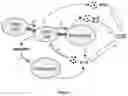 Fig. 02 - CAR-T-CELL THERAPY
