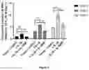 Fig. 04 - CAR-T-CELL THERAPY
