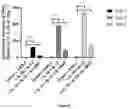 Fig. 05 - CAR-T-CELL THERAPY