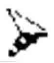 Fig. 03 - METHOD FOR CONTROLLING VIRAL INFECTIONS THROUGH ADOPTIVE TRANSFER OF A CELL PRODUCT COMPRISING AN EXPANDED AND ENRICHED POPULATION OF SUPERACTIVATED CYTOKINE KILLER CELLS