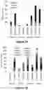 Fig. 02 - EBV-SPECIFIC IMMUNE CELLS
