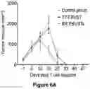 Fig. 06 - EBV-SPECIFIC IMMUNE CELLS