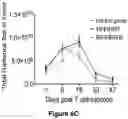 Fig. 08 - EBV-SPECIFIC IMMUNE CELLS
