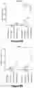 Fig. 13 - EBV-SPECIFIC IMMUNE CELLS