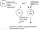 Fig. 01 - LARGE-SCALE COMBINED CAR TRANSDUCTION AND CRISPR GENE EDITING OF T CELLS