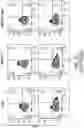 Fig. 07 - LARGE-SCALE COMBINED CAR TRANSDUCTION AND CRISPR GENE EDITING OF T CELLS