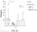 Fig. 11 - LARGE-SCALE COMBINED CAR TRANSDUCTION AND CRISPR GENE EDITING OF T CELLS