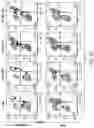 Fig. 18 - LARGE-SCALE COMBINED CAR TRANSDUCTION AND CRISPR GENE EDITING OF T CELLS