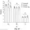 Fig. 21 - LARGE-SCALE COMBINED CAR TRANSDUCTION AND CRISPR GENE EDITING OF T CELLS