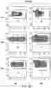 Fig. 24 - LARGE-SCALE COMBINED CAR TRANSDUCTION AND CRISPR GENE EDITING OF T CELLS