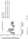 Fig. 16 - DOSING REGIMENS FOR THE MOBILIZATION OF HEMATOPOIETIC STEM AND PROGENITOR CELLS