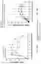 Fig. 19 - DOSING REGIMENS FOR THE MOBILIZATION OF HEMATOPOIETIC STEM AND PROGENITOR CELLS
