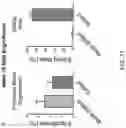Fig. 42 - DOSING REGIMENS FOR THE MOBILIZATION OF HEMATOPOIETIC STEM AND PROGENITOR CELLS