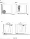 Fig. 08 - GENERATION OF CD38 KNOCK-OUT PRIMARY AND EXPANDED HUMAN NK CELLS