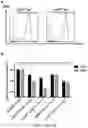 Fig. 15 - GENERATION OF CD38 KNOCK-OUT PRIMARY AND EXPANDED HUMAN NK CELLS