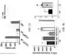 Fig. 27 - GENERATION OF CD38 KNOCK-OUT PRIMARY AND EXPANDED HUMAN NK CELLS