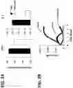 Fig. 03 - COMBINATION OF A T CELL THERAPY AND (S)-3-[4-(4-MORPHOLIN-4-YLMETHYL-BENZYLOXY)-L-OXO-L,3-DIHYDRO-ISOINDOL-2-YL]-PIPERIDINE-2,6-DIONE