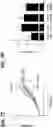Fig. 26 - COMBINATION OF A T CELL THERAPY AND (S)-3-[4-(4-MORPHOLIN-4-YLMETHYL-BENZYLOXY)-L-OXO-L,3-DIHYDRO-ISOINDOL-2-YL]-PIPERIDINE-2,6-DIONE