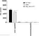 Fig. 01 - Prame TCR Receptors And Uses Thereof