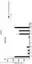 Fig. 04 - Prame TCR Receptors And Uses Thereof