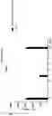 Fig. 05 - Prame TCR Receptors And Uses Thereof