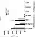 Fig. 06 - Prame TCR Receptors And Uses Thereof
