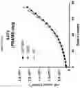 Fig. 10 - Prame TCR Receptors And Uses Thereof