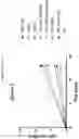 Fig. 20 - Prame TCR Receptors And Uses Thereof
