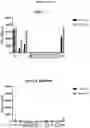 Fig. 22 - Prame TCR Receptors And Uses Thereof