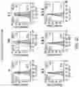Fig. 03 - Chimeric antigen receptor-modified NK-92 cells