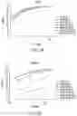 Fig. 05 - Chimeric antigen receptor-modified NK-92 cells