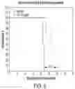 Fig. 07 - Chimeric antigen receptor-modified NK-92 cells