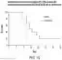 Fig. 12 - Chimeric antigen receptor-modified NK-92 cells