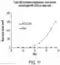 Fig. 13 - Chimeric antigen receptor-modified NK-92 cells