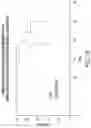 Fig. 14 - Chimeric antigen receptor-modified NK-92 cells