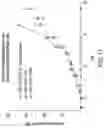 Fig. 15 - Chimeric antigen receptor-modified NK-92 cells
