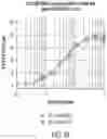 Fig. 18 - Chimeric antigen receptor-modified NK-92 cells