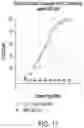 Fig. 19 - Chimeric antigen receptor-modified NK-92 cells