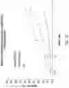 Fig. 24 - Chimeric antigen receptor-modified NK-92 cells