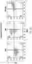 Fig. 32 - Chimeric antigen receptor-modified NK-92 cells