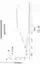 Fig. 33 - Chimeric antigen receptor-modified NK-92 cells