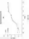 Fig. 35 - Chimeric antigen receptor-modified NK-92 cells