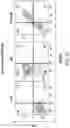 Fig. 38 - Chimeric antigen receptor-modified NK-92 cells