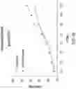 Fig. 42 - Chimeric antigen receptor-modified NK-92 cells